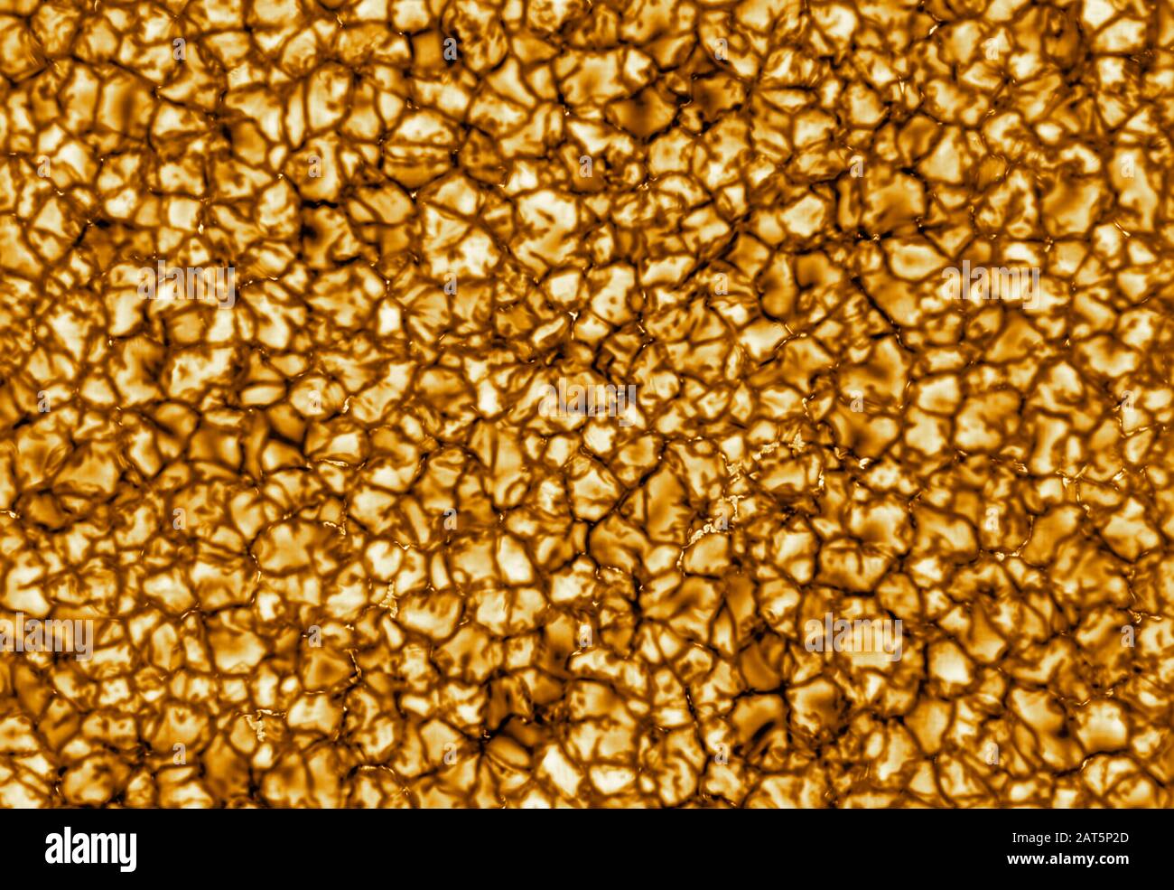 THE SUN - 27 Jan 2019 - le prime immagini del telescopio solare Inouye di NSF sono le immagini più dettagliate fino ad oggi della superficie del Sole, che può fornire Foto Stock