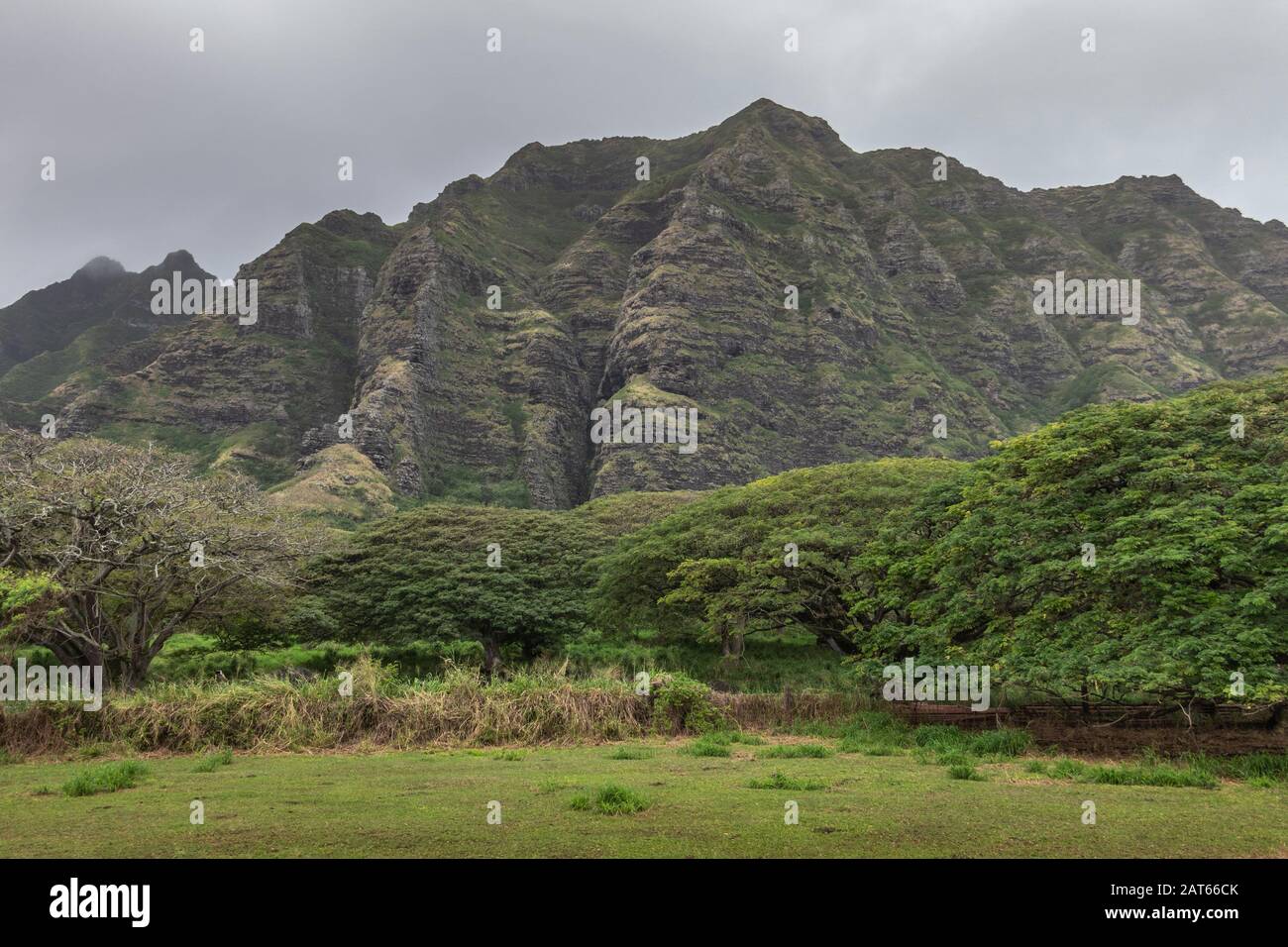 Kaaawa, Oahu, Hawaii, Stati Uniti. - 11 gennaio 2020: Cintura di alberi verdi di fronte ad alte scogliere rocciose di colore marrone sotto il paesaggio grigio delle nuvole vicino all'area del Kualoa Ranch. Foto Stock