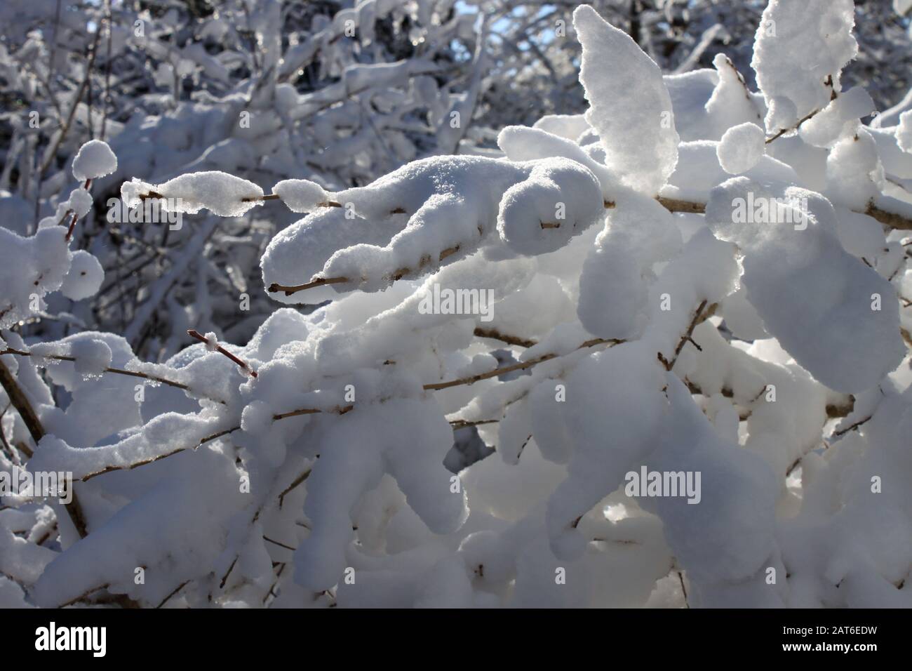 Scena di neve a East ChezzetCook Nova Scotia. Foto Stock