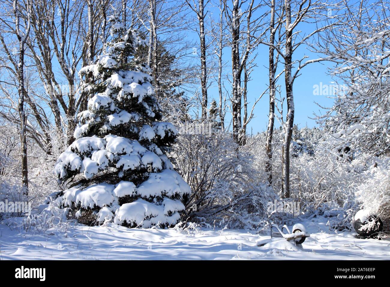 Scena di neve a East ChezzetCook Nova Scotia. Foto Stock