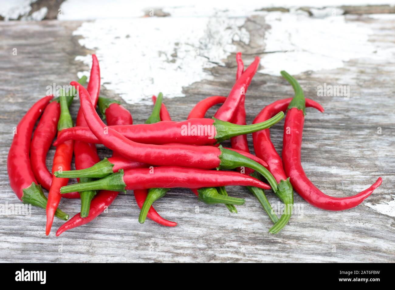 Pepe caldo fresco su tavola di legno Foto Stock