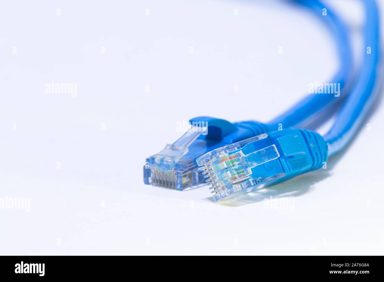 Cavi ethernet blu per la connessione a Internet su sfondo bianco e isolato. Foto Stock
