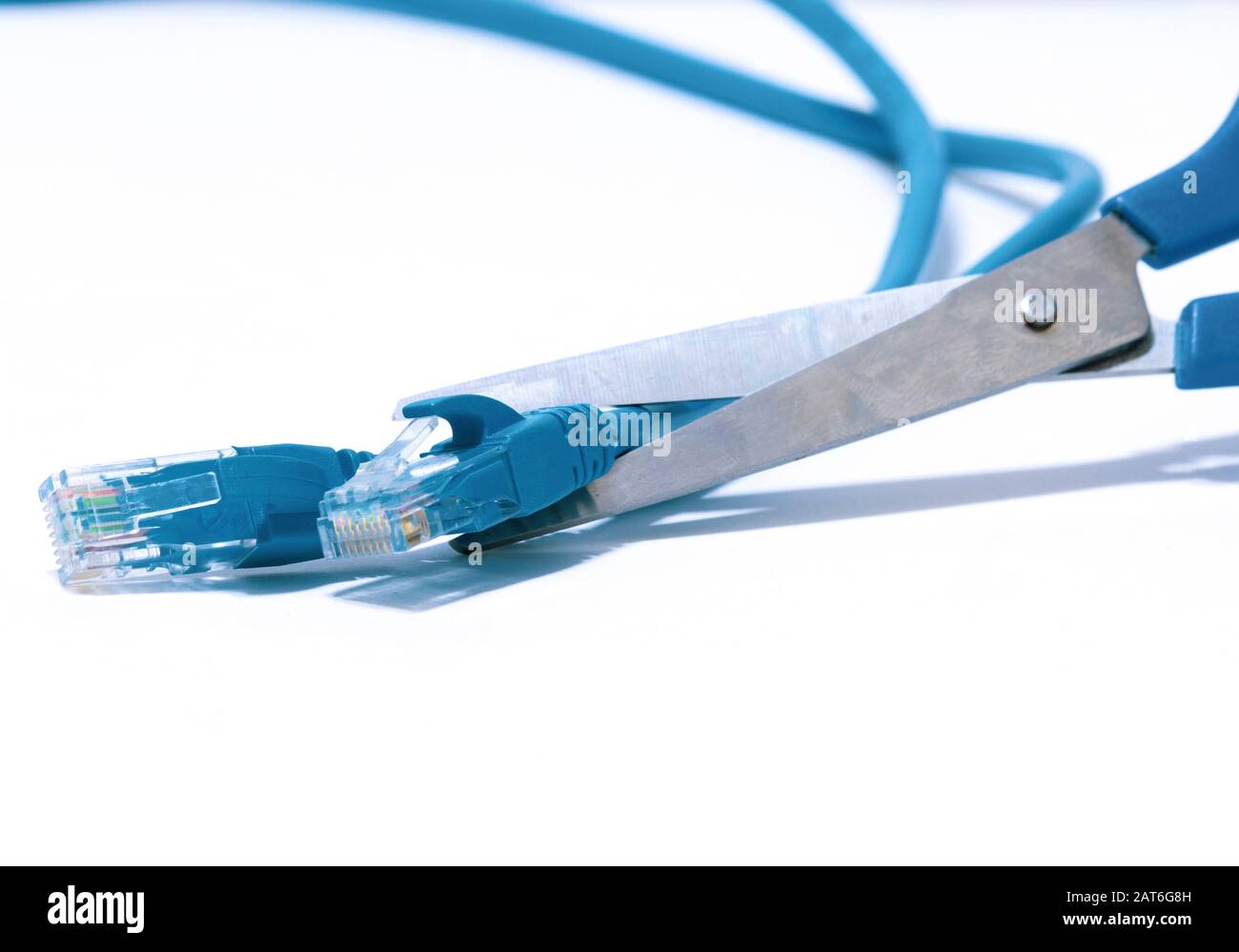 Forbici per tagliare il cavo di collegamento ethernet blu. Foto Stock