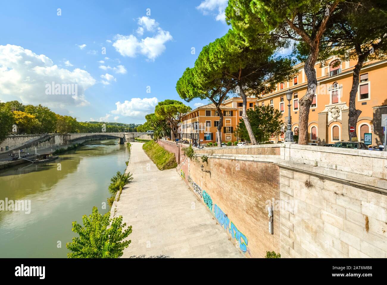 I pini di pietra italiani fiancheggiano le rive del fiume Tevere a Roma, Italia. Foto Stock