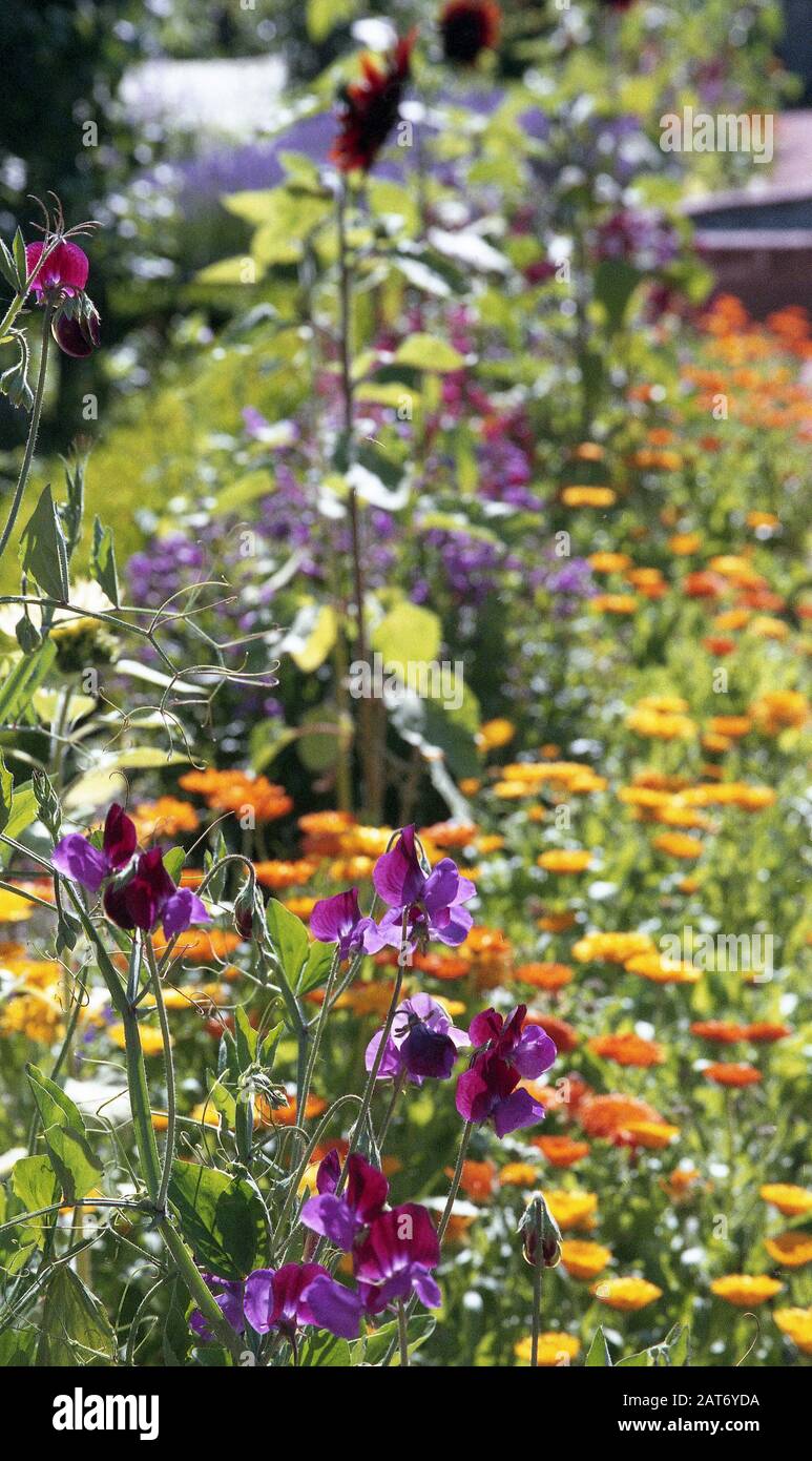 giardini e giardini di baddesley clinton, residenza signorile del warwickshire inghilterra, regno unito Foto Stock