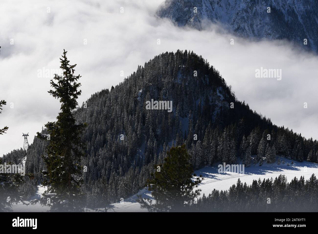 Verschneite Bäume und Berge in Tirol rund um den Achensee - Zillertaler Voralpen Foto Stock