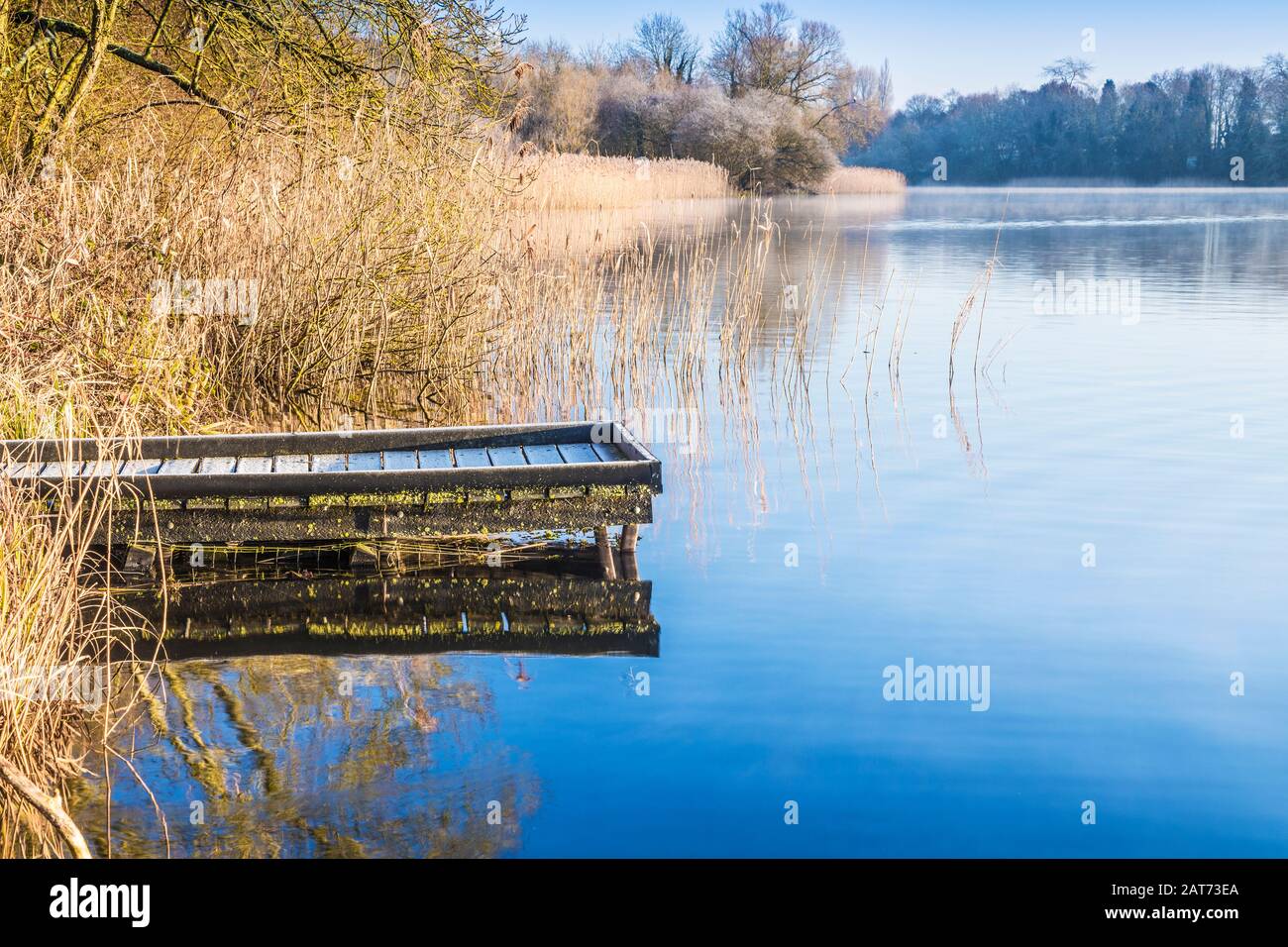 Una fredda e soleggiata mattinata invernale su Coate Water a Swindon. Foto Stock