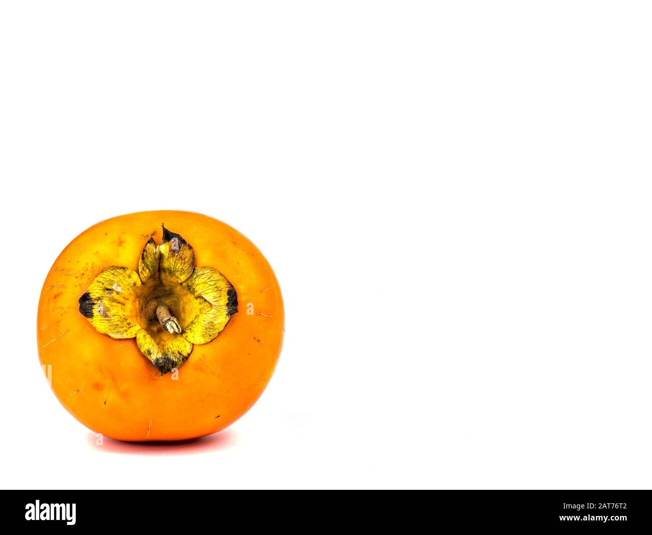 Frutta di Persimmon su uno sfondo bianco. Raccolto. Inserire il testo. Posto gratuito. Foto Stock