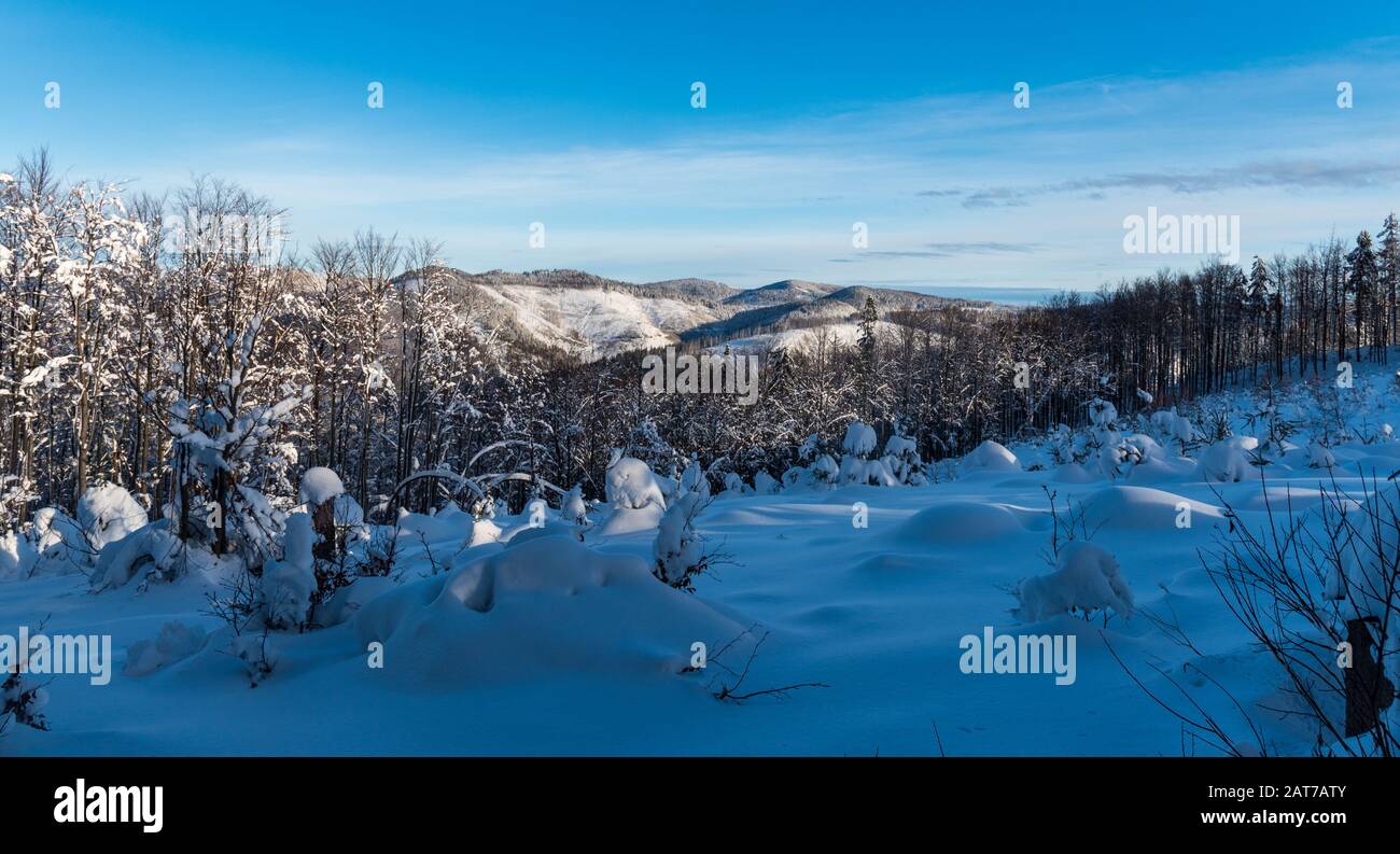 Paesaggio invernale con neve, foresta, colline e cielo blu con poche nuvole a soffietto Velka Raca collina in Kysucke Beskydy montagne sul polacco - confine slovacco Foto Stock