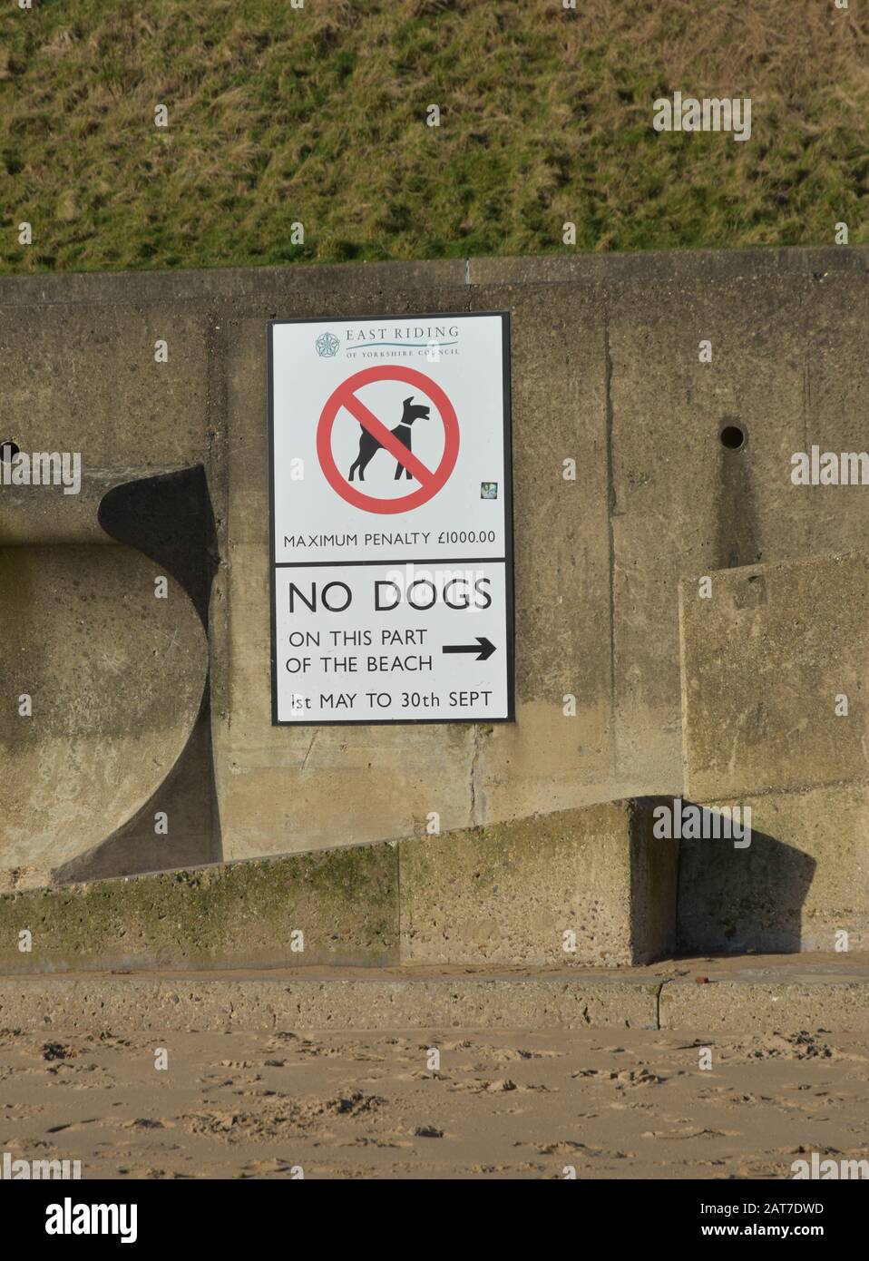 Cartello "No dogs on Beach", Bridlington, East Yorkshire Foto Stock