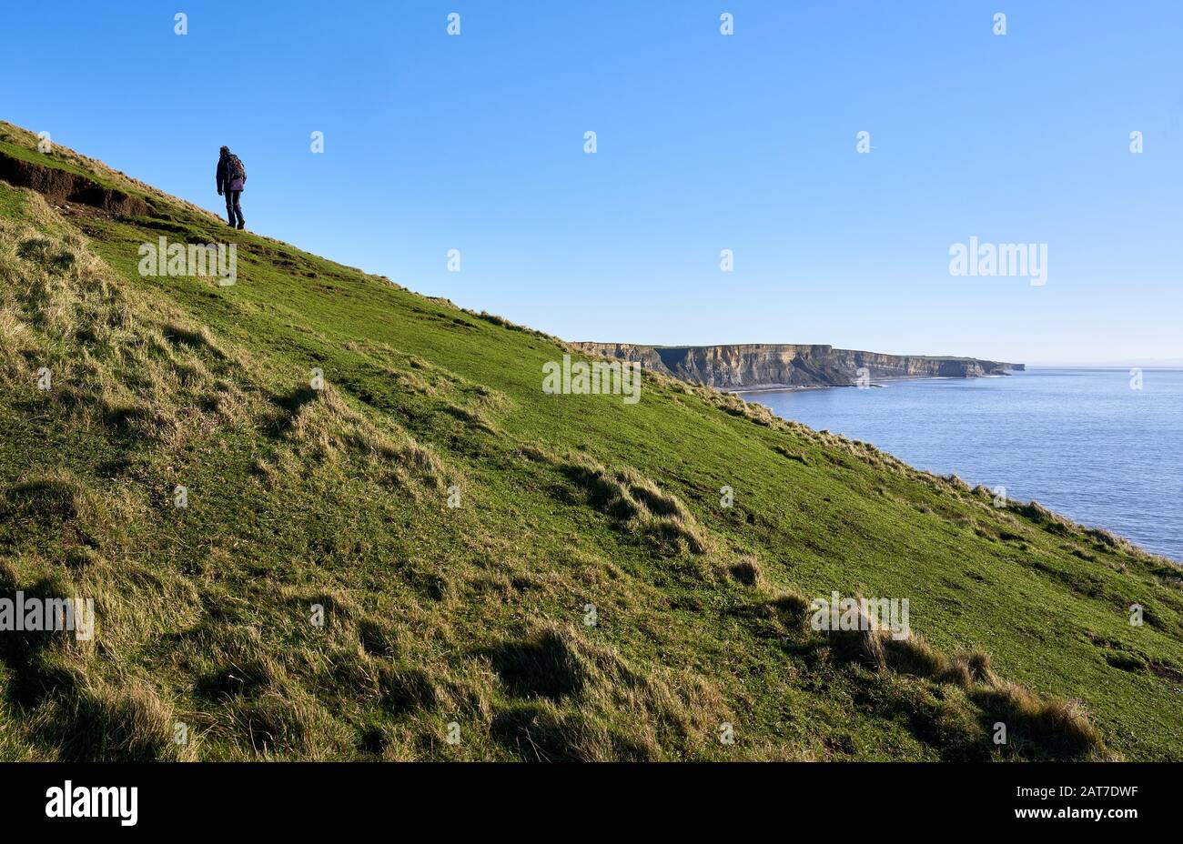 Un camminatore arrampicata punta di Trwyn y Witch o Witches Point sulla Glamorgan Heritage Coast a Dunraven Bay South Wales UK Foto Stock
