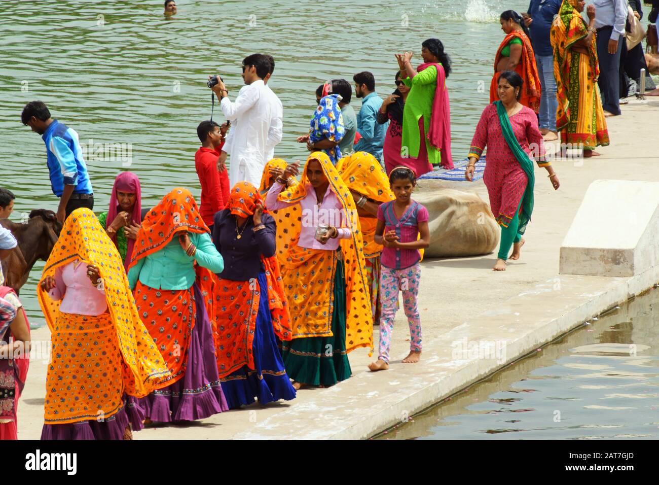 Pushkar, India - 15 agosto 2016: Uomini, mucche e donne in variopinti sari al lago per il bagno santo. Il lago Pushkar è uno dei luoghi più santi per gli indù Foto Stock