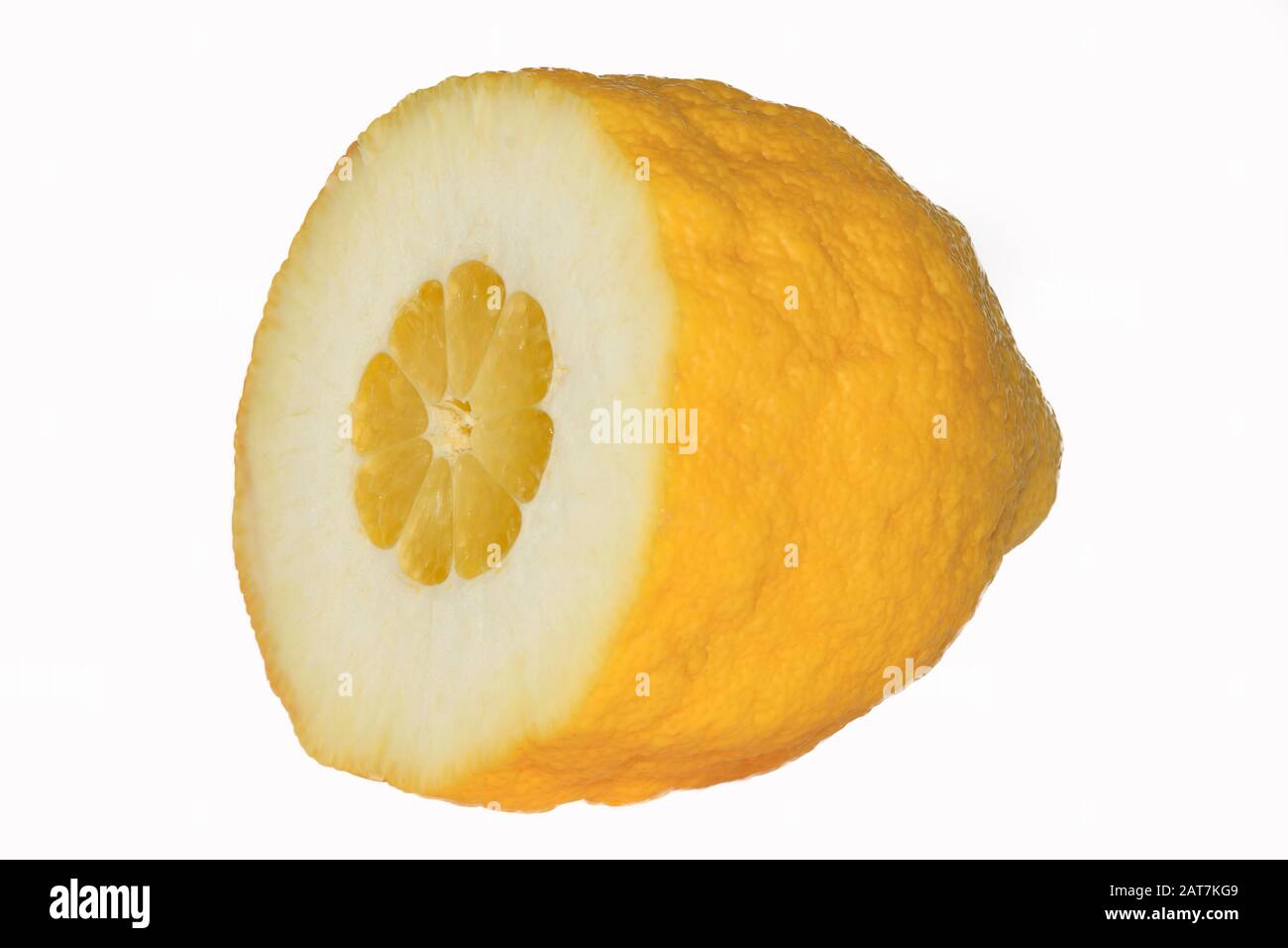 Citron (Citrus medica), ritaglio, Germania Foto Stock