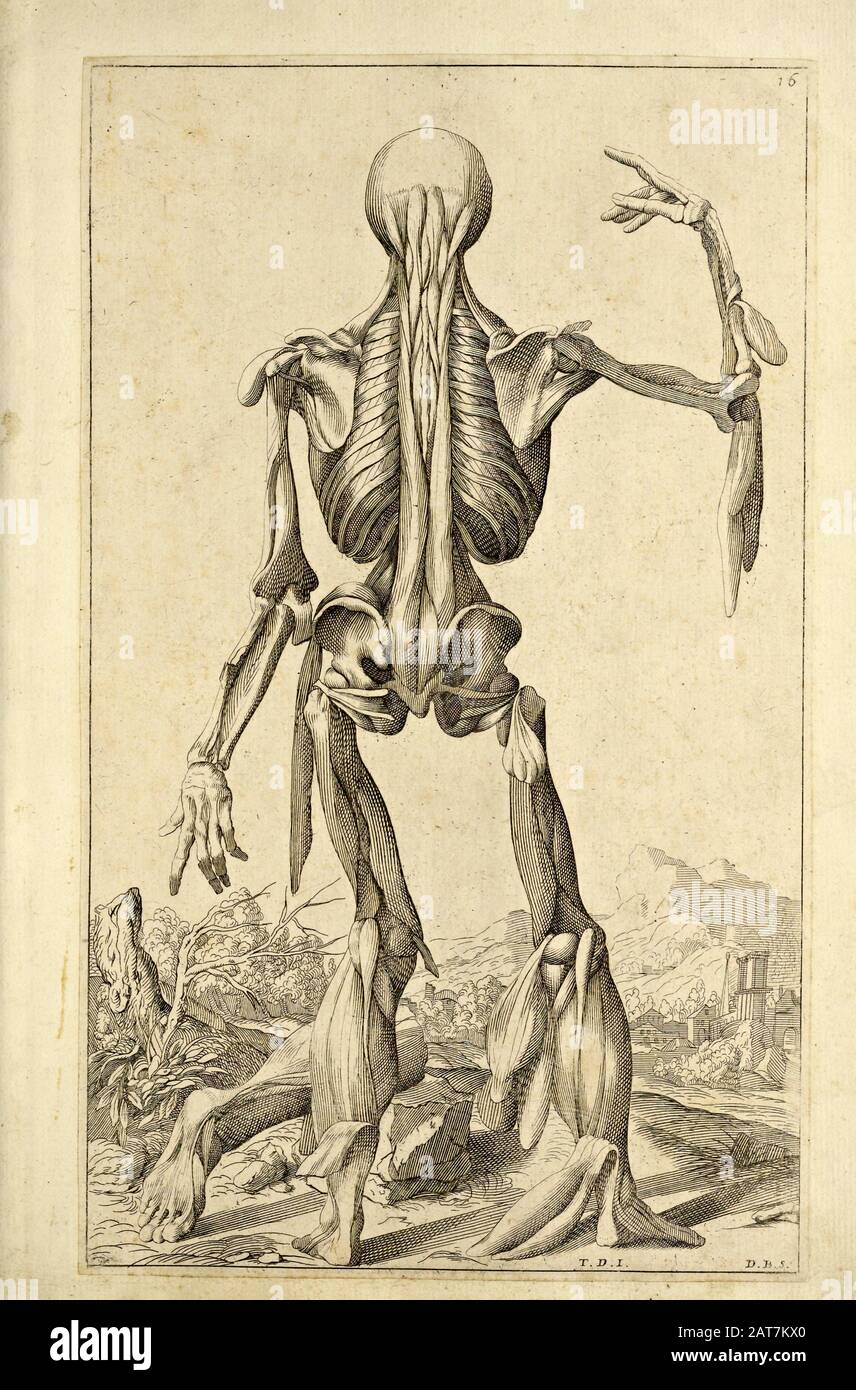 Stampa in legno maschile a corpo pieno all'apertura del libro Human Anatomy 'Notomie di Titiano' Stampato in Italia nel 1670 Foto Stock