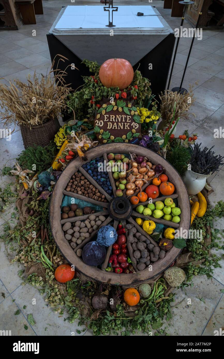 Wagon wheel decorato con verdure per il Thanksgiving, Spalt, Middle Franconia, Bavaria, Germania Foto Stock