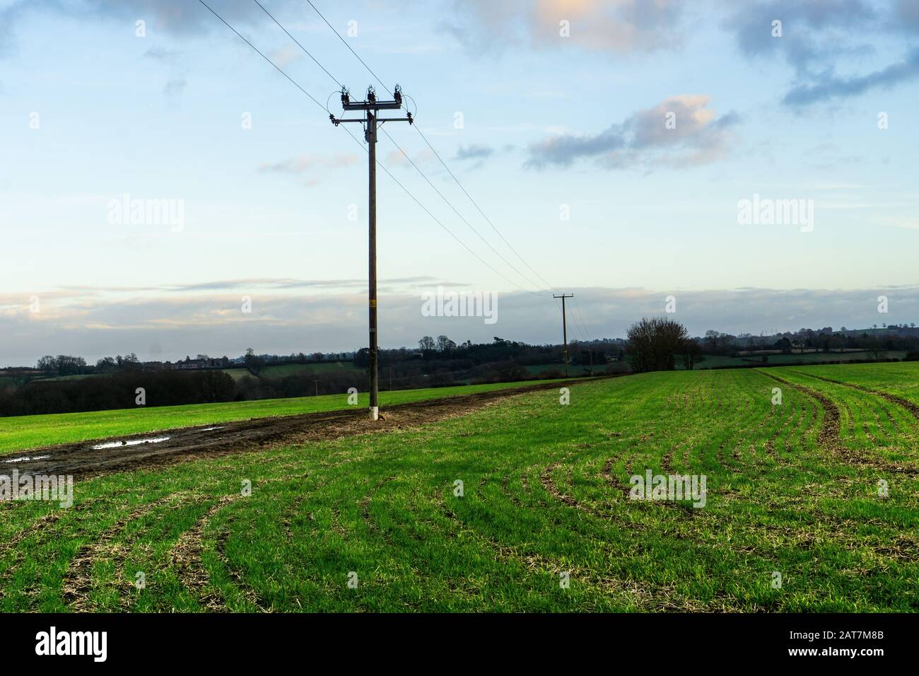 Pali di Telegraph che conducono attraverso la campagna Foto Stock