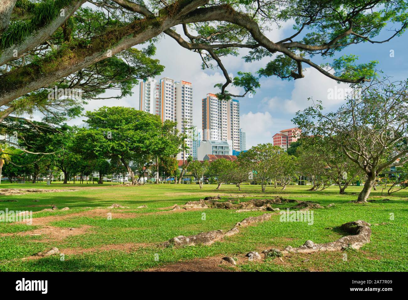 Singapore. Gennaio 2020. Vista sul parco dell'aeroporto di Old Kallang Foto Stock