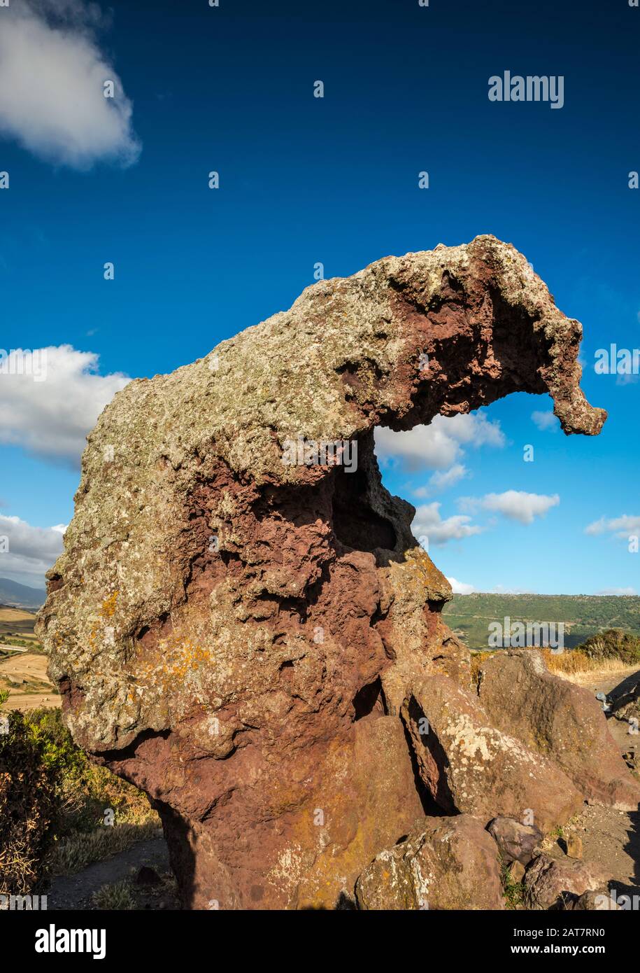 Roccia dell'Elefante, trachite rossa Elephant Rock, vicino a Castelsardo, provincia di Sassari, Sardegna, Italia Foto Stock