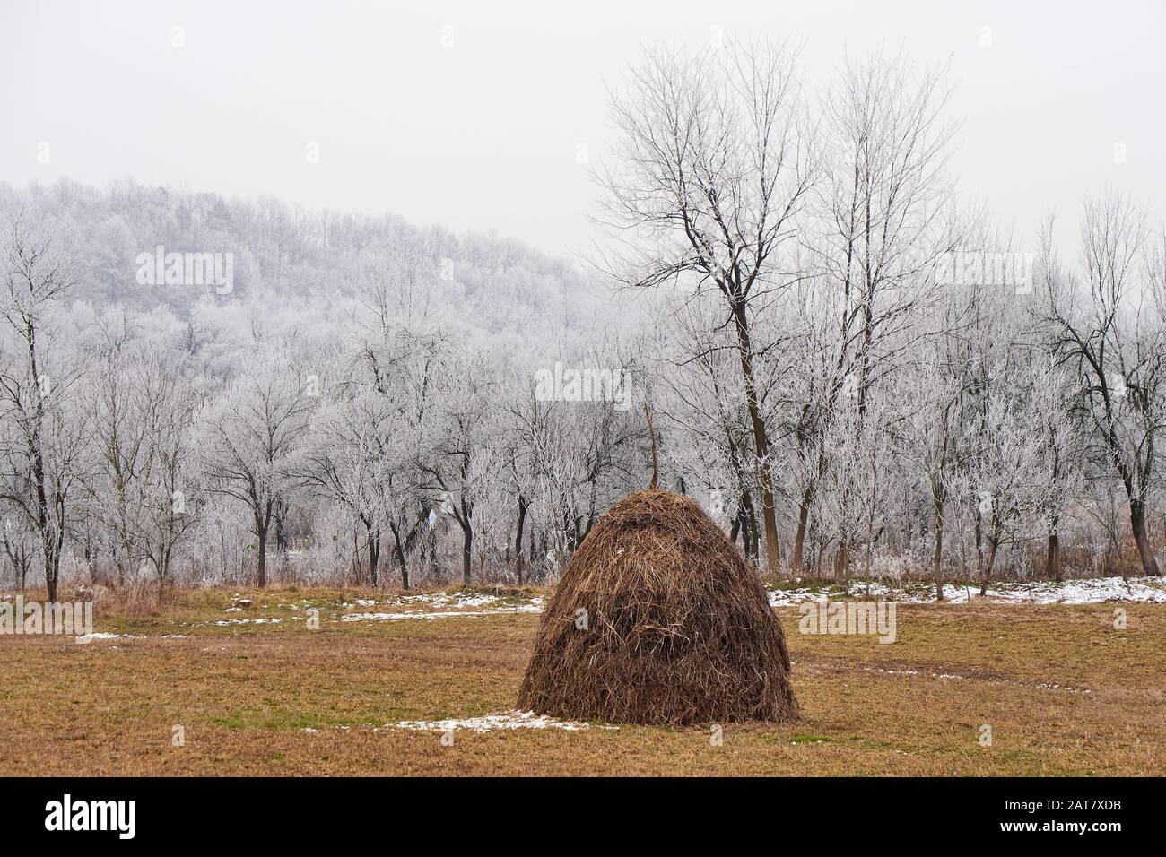 Paesaggio Invernale Rurale Con Hay Foto Stock