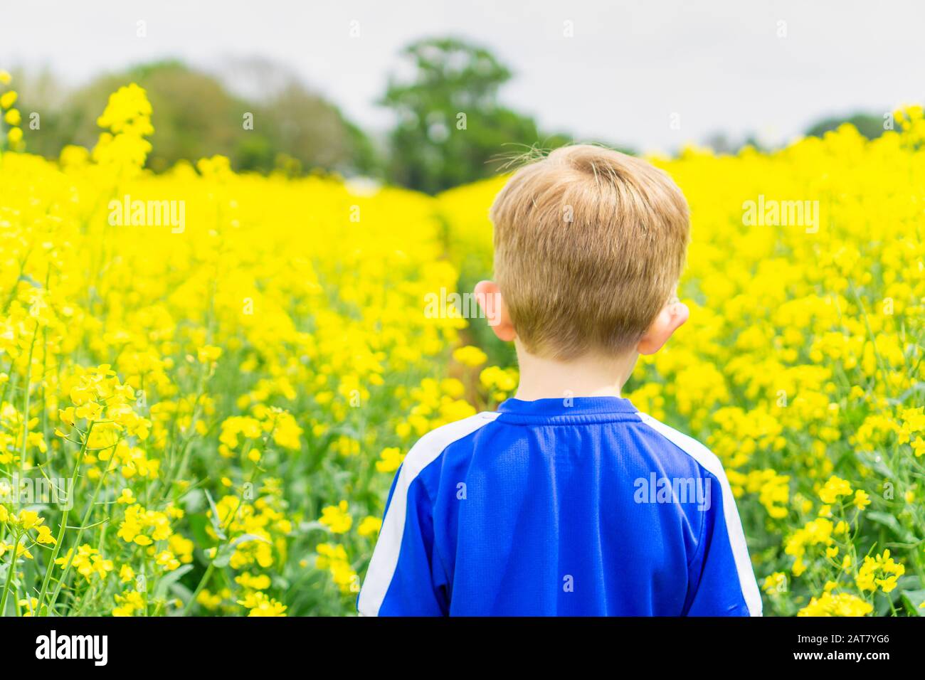 Oxfordshire, Regno Unito - maggio 2019: Un ragazzo giovane che gioca in un campo di fiori di colza. Foto Stock