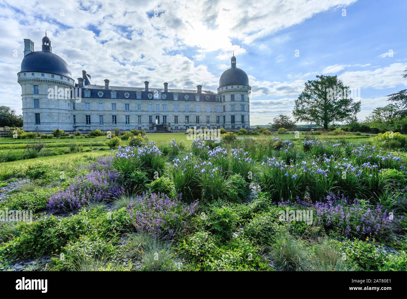 Francia, Indre, Berry, Valencay, Chateau de Valencay Park e Giardini, la facciata del castello e la prospettiva Grande, rotonda di iris e erbe con bluastro Foto Stock