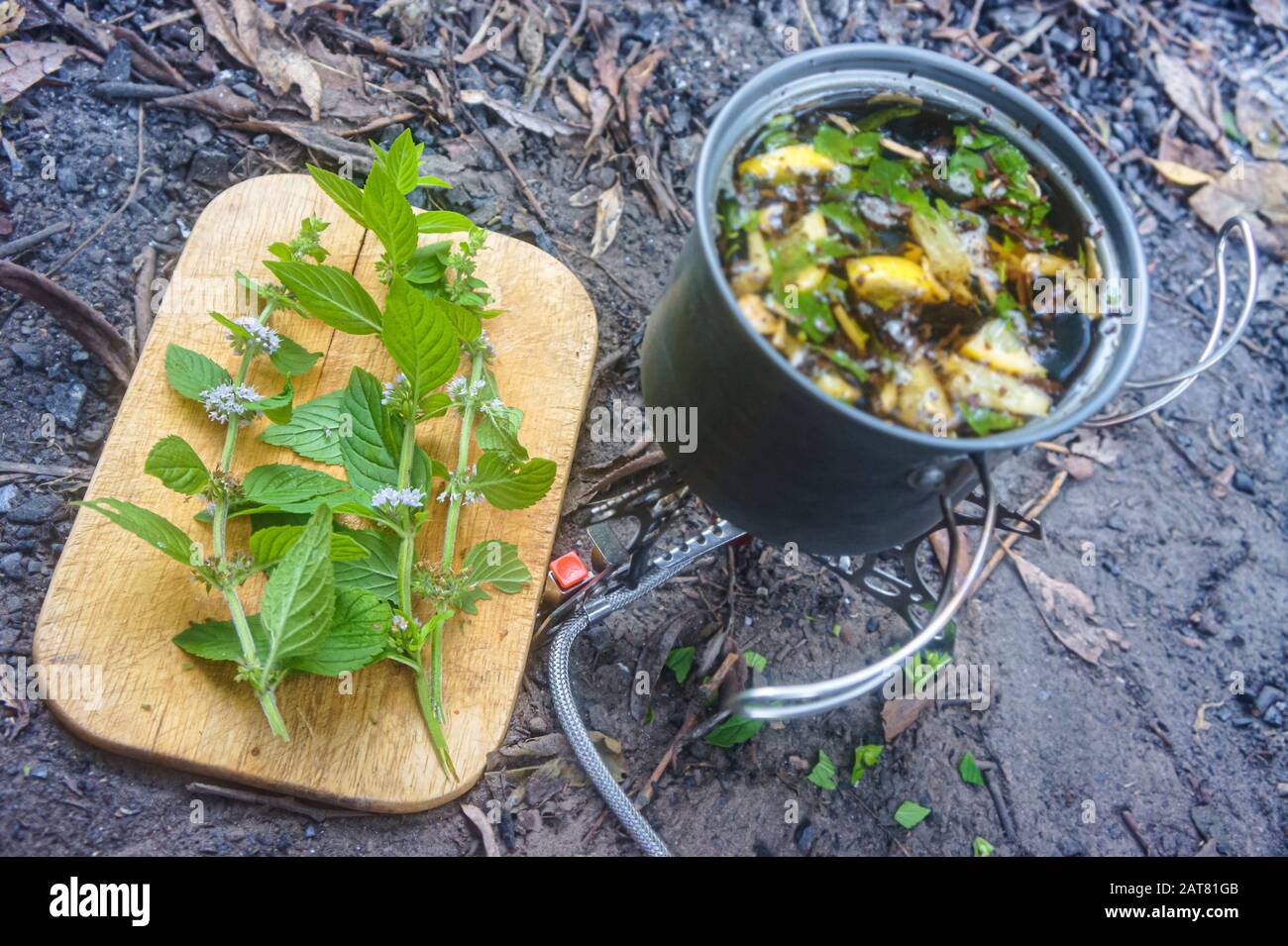 cucinare il tè sopra un fuoco, tè con limone e menta Foto Stock