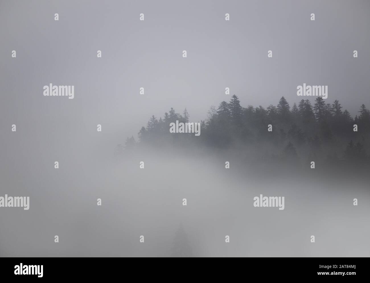 Una piccola striscia di colline monocromatiche boscose barzellano attraverso l'atmosfera nebbiosa. Foto Stock