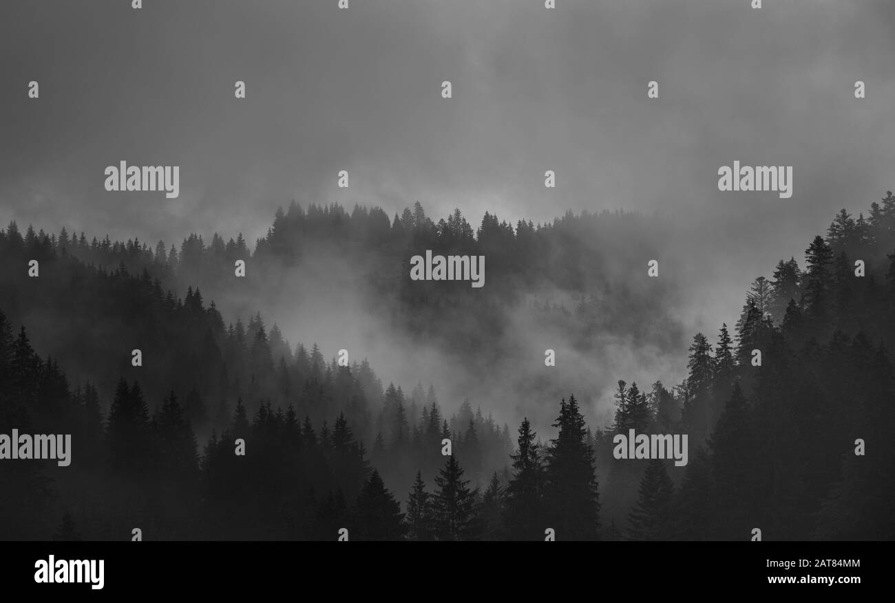 La nebbia si abbassa dai cieli nuvolosi sulle colline coperte di alberi in un'immagine monocromatica. Foto Stock