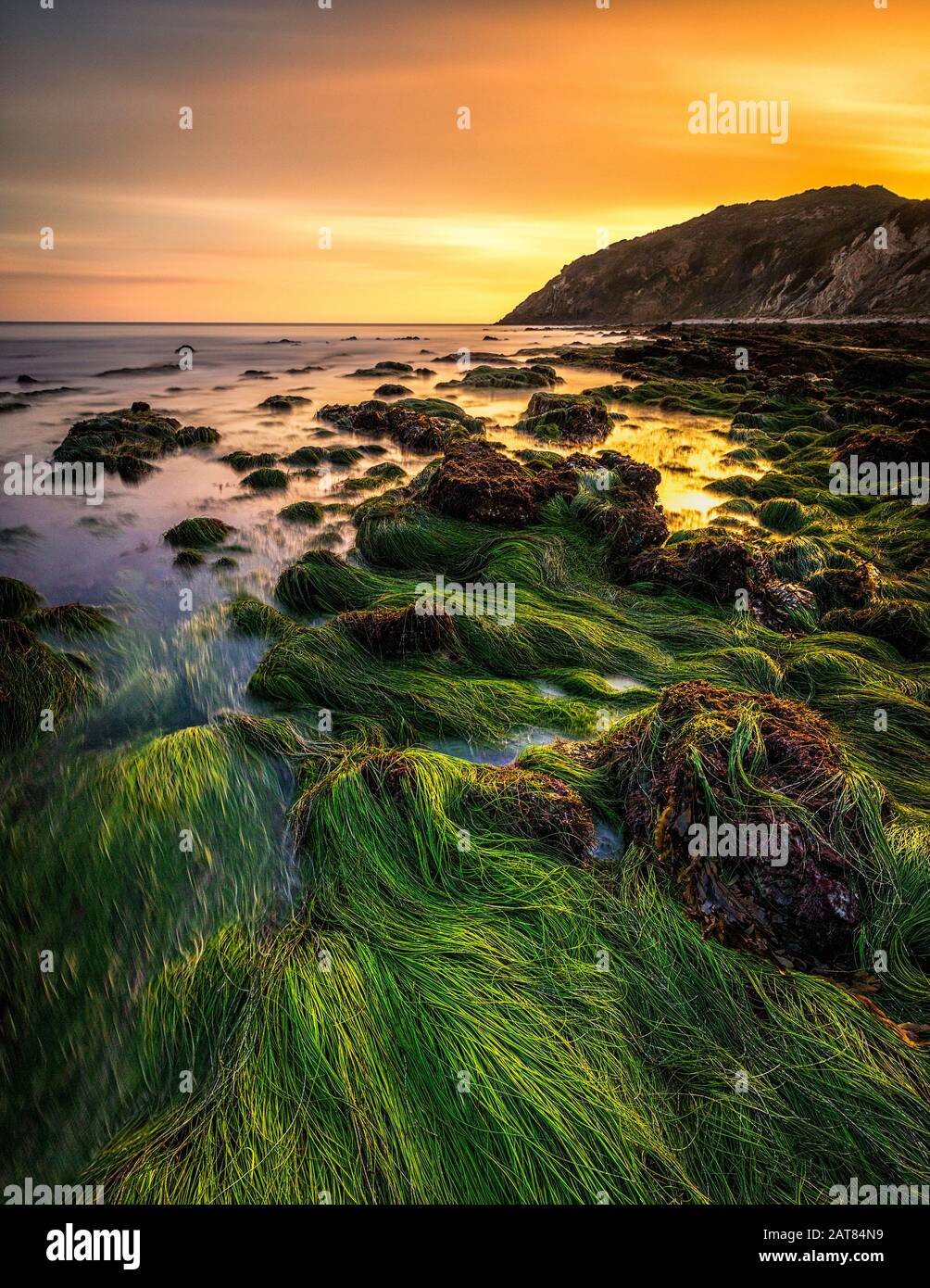 Malibu colorato, California tramonto costiero con alghe e Seagrass che crescono su rocce e tidepools.i toni viola e blu riflettono sull'acqua vetroso. Foto Stock