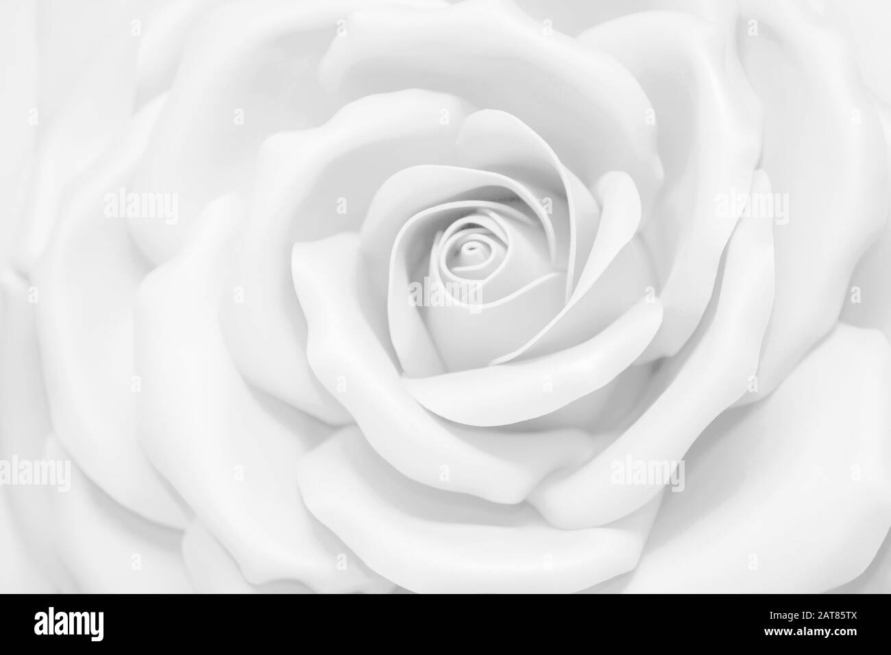 Rosa bianca grande. Sfondo chiaro bel fiore. Foto Stock