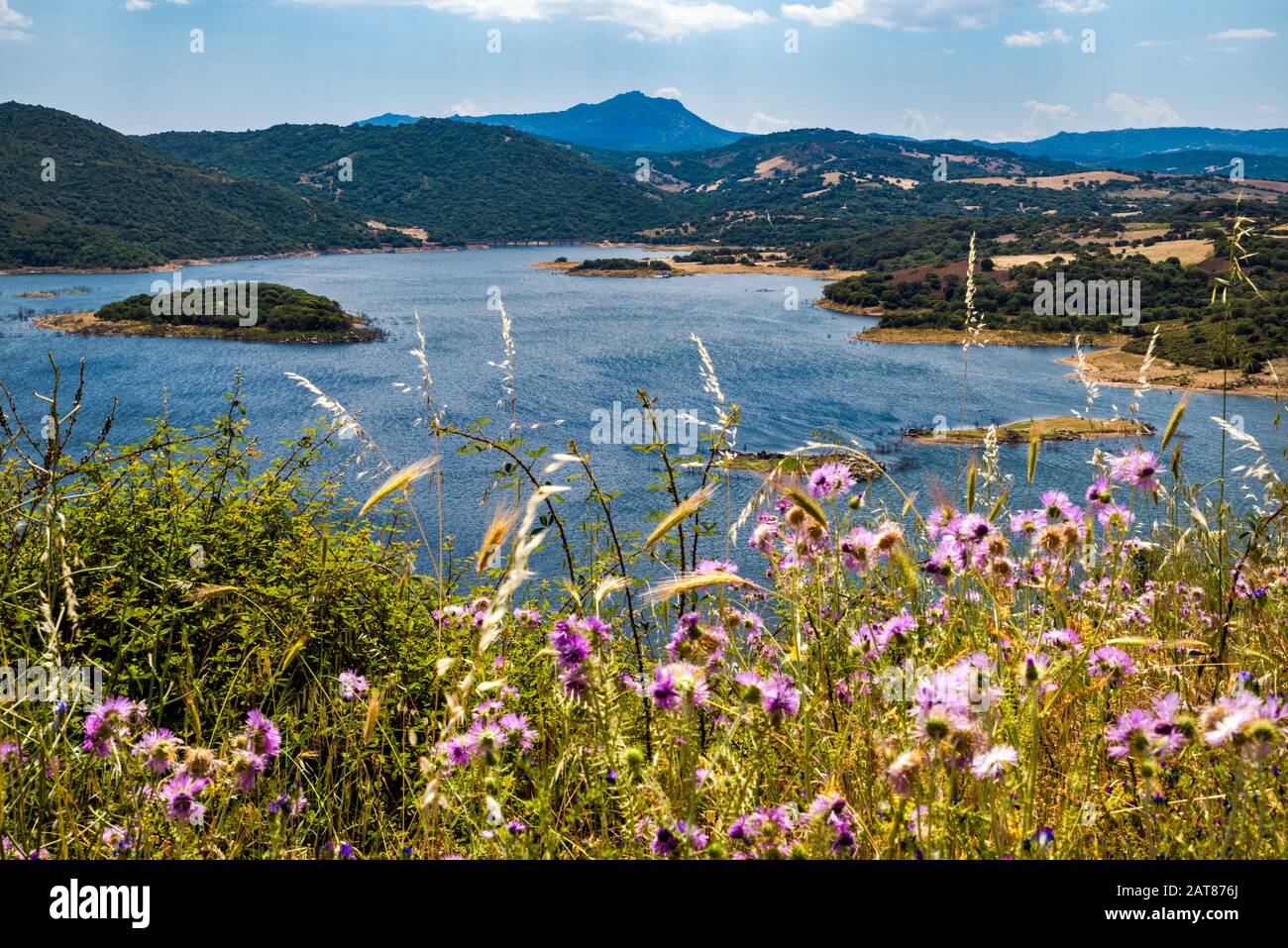 Lago di liscia, lago artificiale in provincia di Sassari, Sardegna, Italia Foto Stock