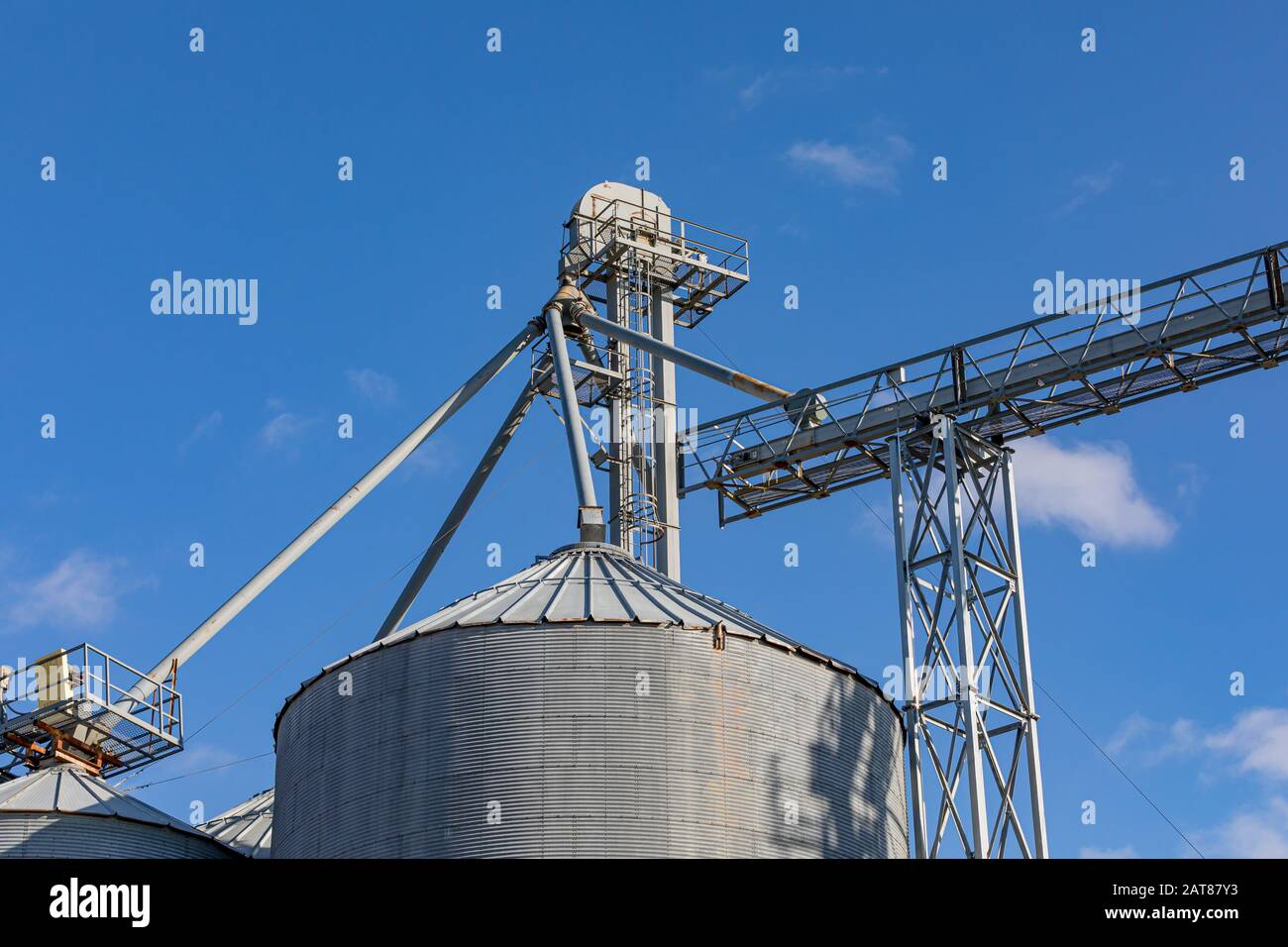 Guardando verso l'alto il serbatoio di stoccaggio dell'elevatore granella e il sistema di trasporto delle gambe dell'elevatore Foto Stock