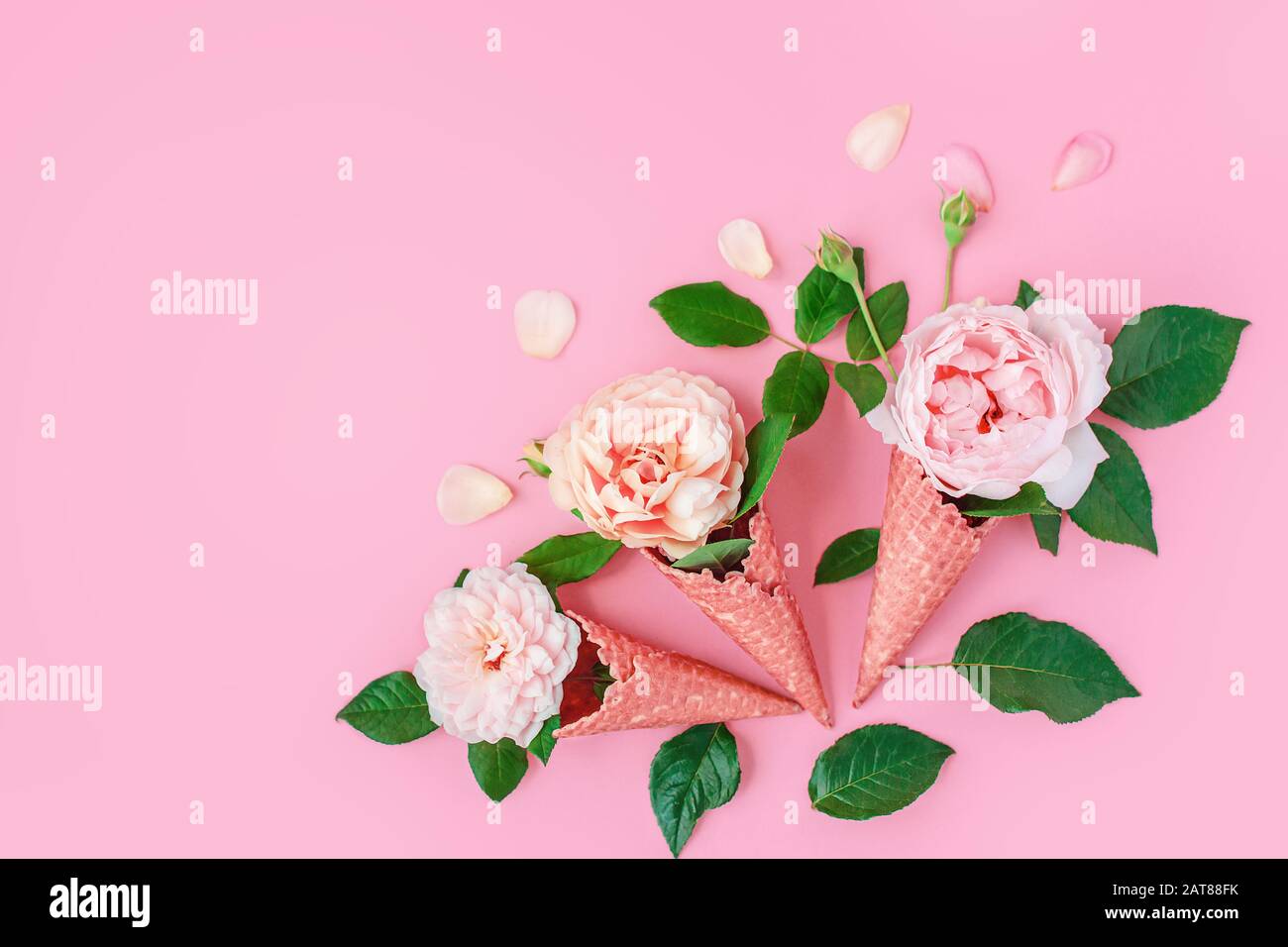 Gelato dai fiori di pony in un cono di cialda su sfondo rosa dall'alto,  bella disposizione floreale, colore vintage, piatto lay. Cornice floreale  con Foto stock - Alamy