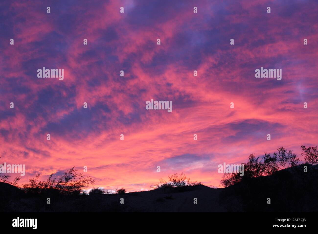 Il tramonto, ai margini di 29 Palms, sull'ecologia nativa del deserto del Mojave meridionale, ci offre un armonioso scorcio di rispetto così necessario per il nostro mondo. Foto Stock