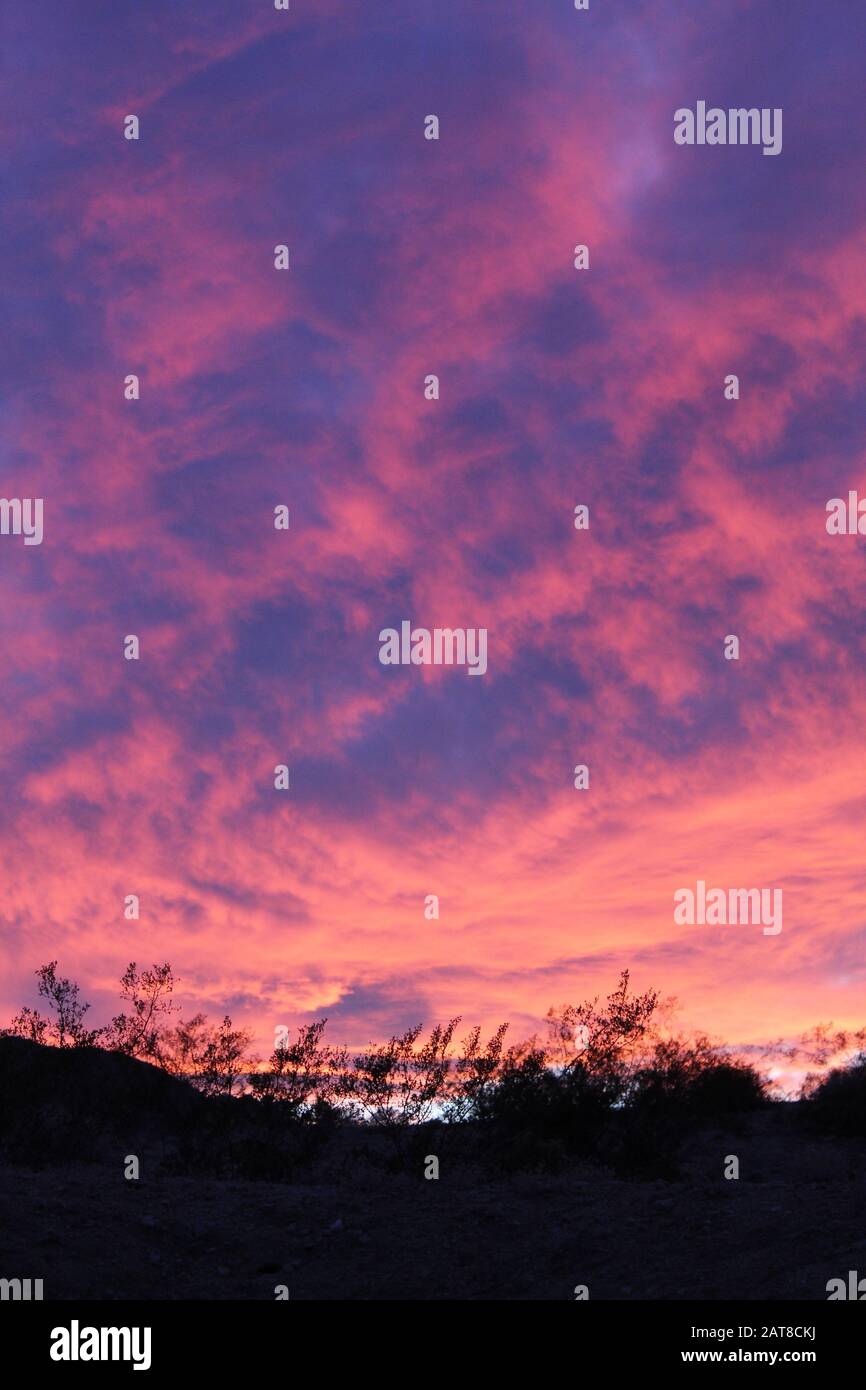 Il tramonto, ai margini di 29 Palms, sull'ecologia nativa del deserto del Mojave meridionale, ci offre un armonioso scorcio di rispetto così necessario per il nostro mondo. Foto Stock