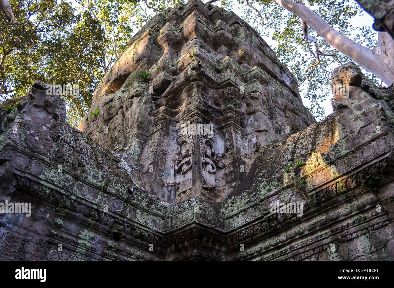 Ankor Wat, uno storico tempio Khmer del 12th secolo e sito patrimonio dell'umanità dell'UNESCO. Archi e pietra scolpita con grandi radici che si diffondono attraverso il scalpellino Foto Stock