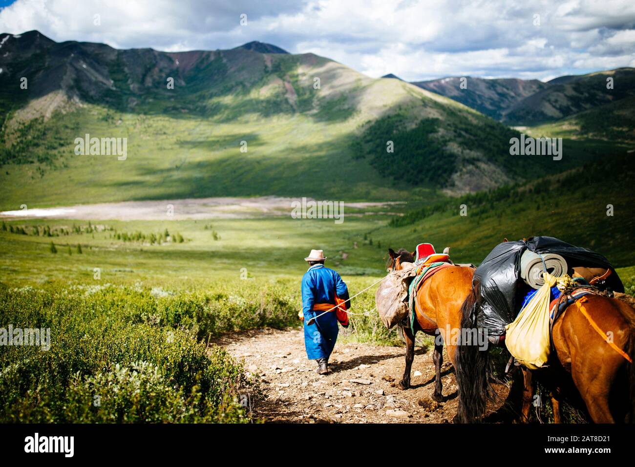 Guide e viaggiatori cavalcano i cavalli nelle foreste di Taiga orientale della Mongolia settentrionale per visitare i remoti e nomadi pastori di renne che vivono vicino Al Sib Foto Stock