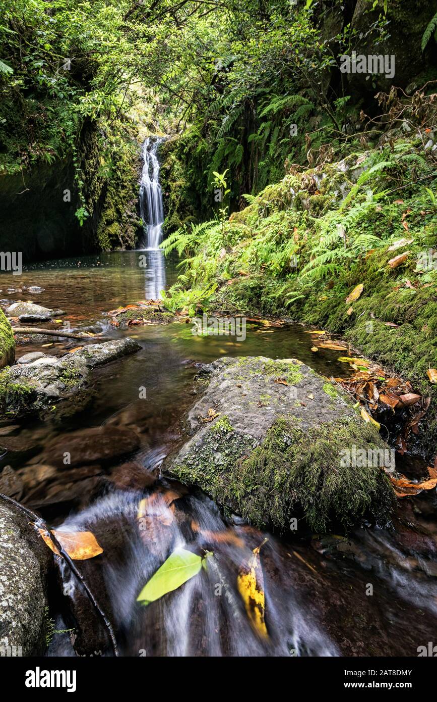 Poço do Bezerro è una piccola cascata con una piscina naturale nel mezzo della foresta nella zona Ribeiro Frio. Foto Stock