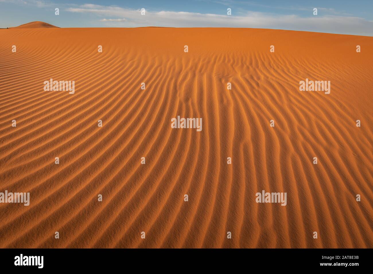 Modelli Di Sabbia Del Sahara, Erg Chebbi, Merzouga, Marocco Foto Stock