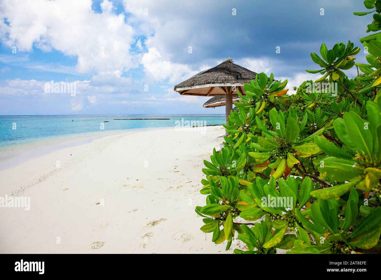 Romantica isola tropicale esotica natura oceano lansccape Foto Stock