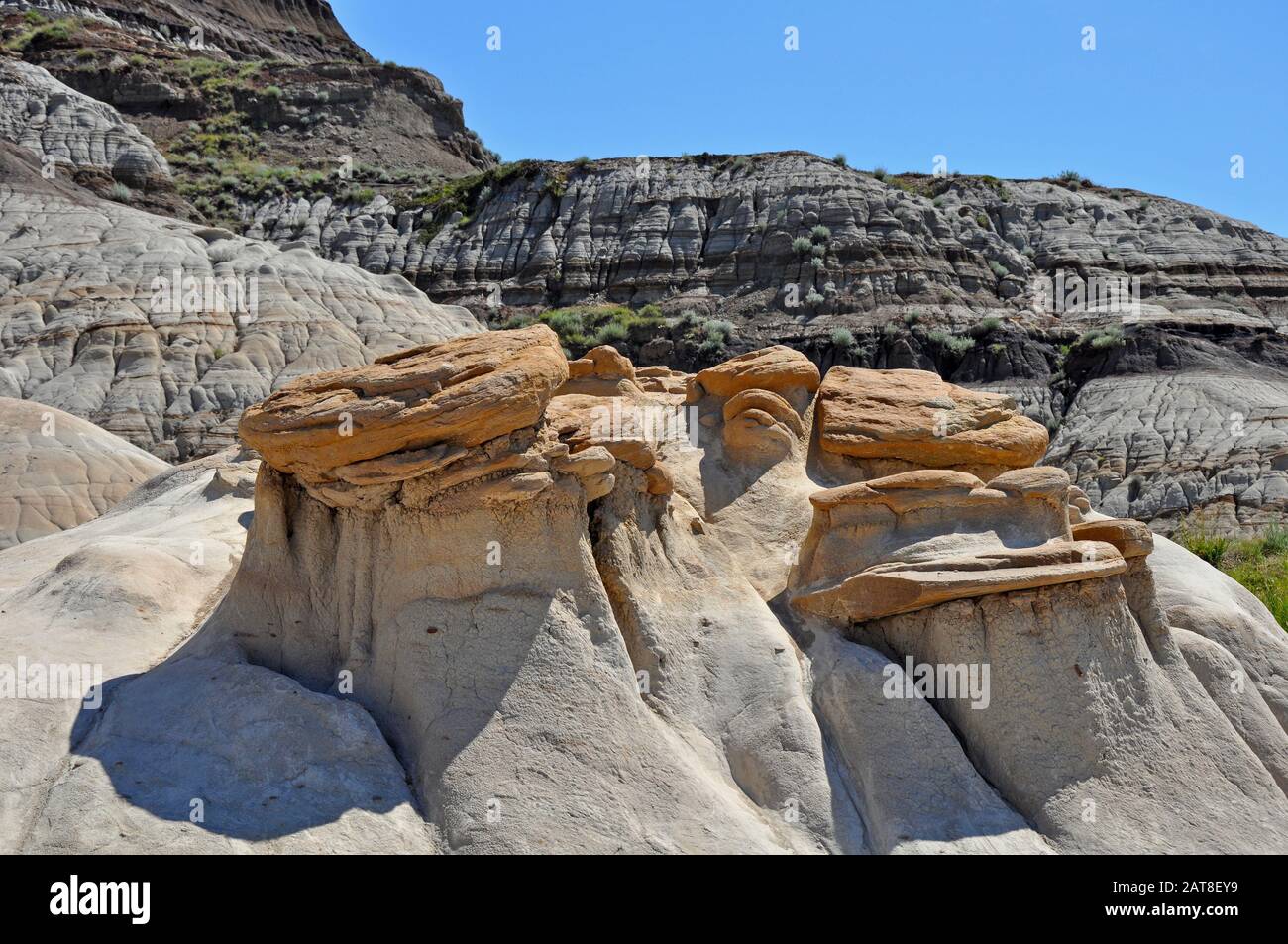 Hoo doo arenaria formazioni di roccia vicino a Drumheller, Alberta, Canada Foto Stock