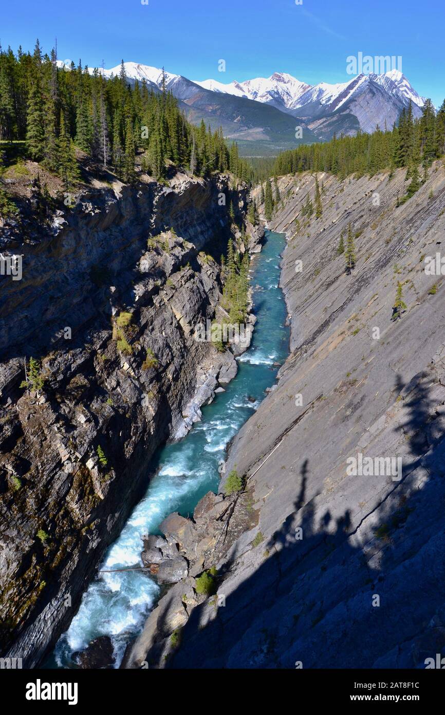 Profondo canyon ripido con turchese fiume selvaggio blu. Montagne coperte di neve, forrest sulla riva, cielo blu, giornata di sole. Rocky Mountains, Canada. Foto Stock