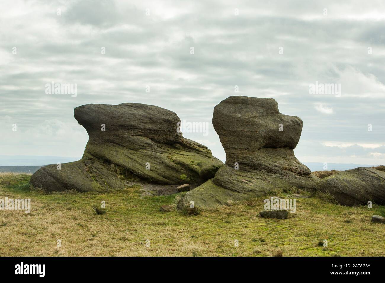 Rocce Erose Sulla Pennine Way, Kinder Scout, Peak District National Park, Derbyshire, Inghilterra Foto Stock