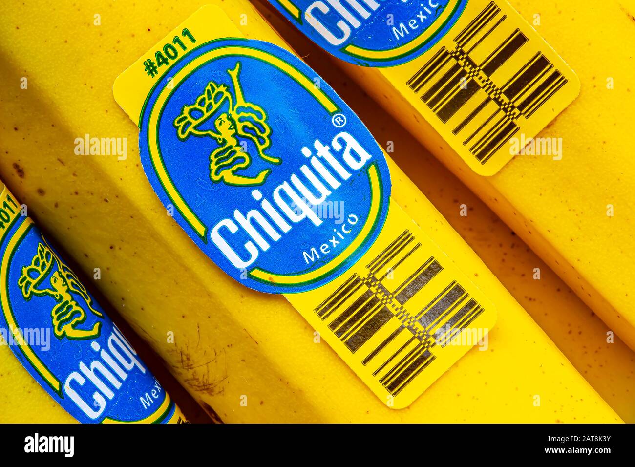 Un primo piano di banane all'adesivo di Chiquita Brands International Sàrl. Foto Stock