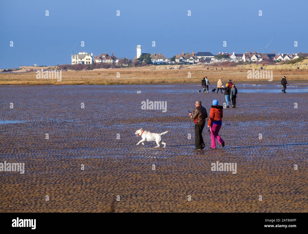 Persone che camminano cani sulla spiaggia a Kirby ovest verso Hoylake sul Wirral Peninsular Inghilterra in una giornata di inverni soleggiati Foto Stock