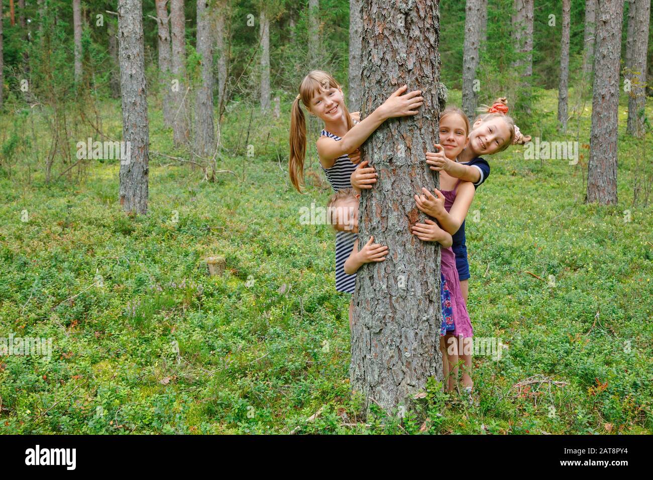 Ragazze di età diversa che abbracciano pino albero giocando in una foresta estiva Foto Stock