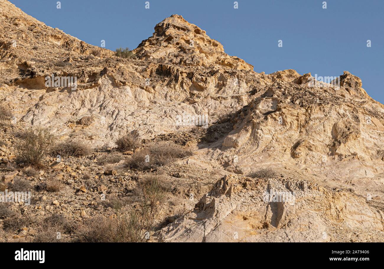 una ripida collina rocciosa nelle montagne del deserto della giudea sopra vicino a ein mabo'a nella riva ovest che mostra strati esposti di calcare, gesso, selce e spa Foto Stock
