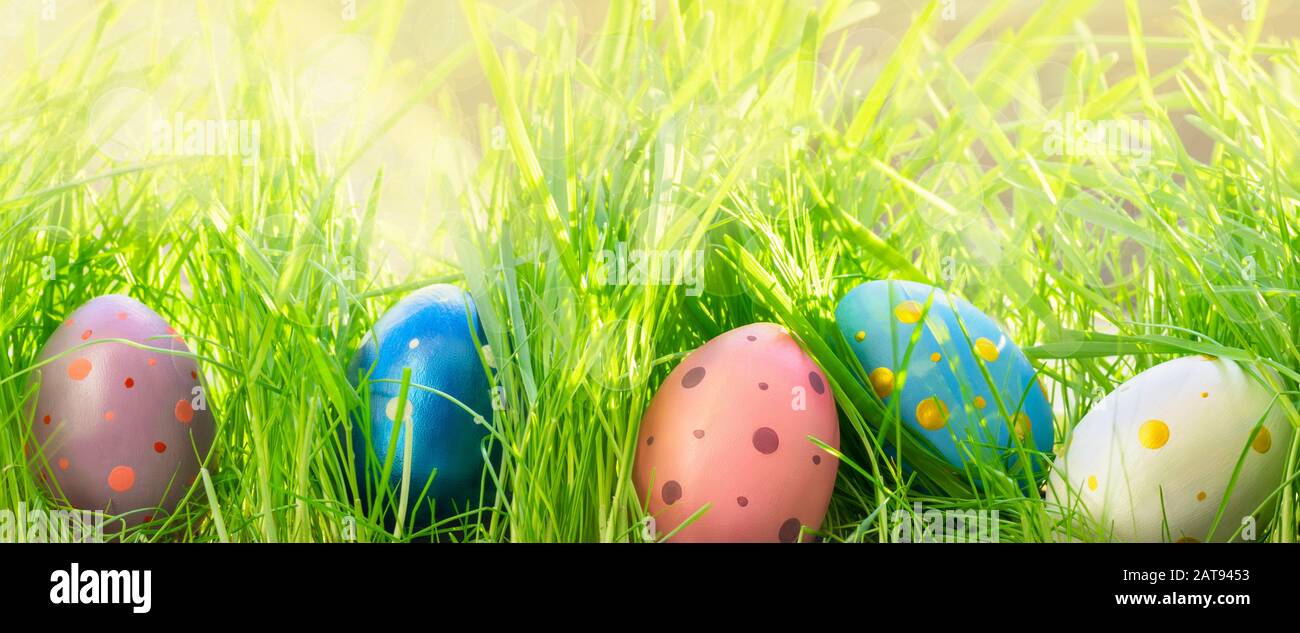 Colorate uova di Pasqua in erba verde fresca. Caccia alle uova di Pasqua. Primo piano. Foto Stock