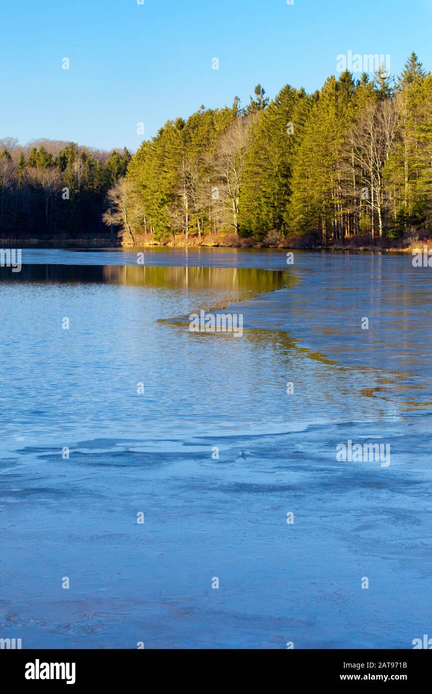 Durante un breve periodo invernale, Land Lake Ha Promesso che i pappagalli delle Pocono Mountains in Pennsylvania formino un nuovo strato di ghiaccio. Foto Stock