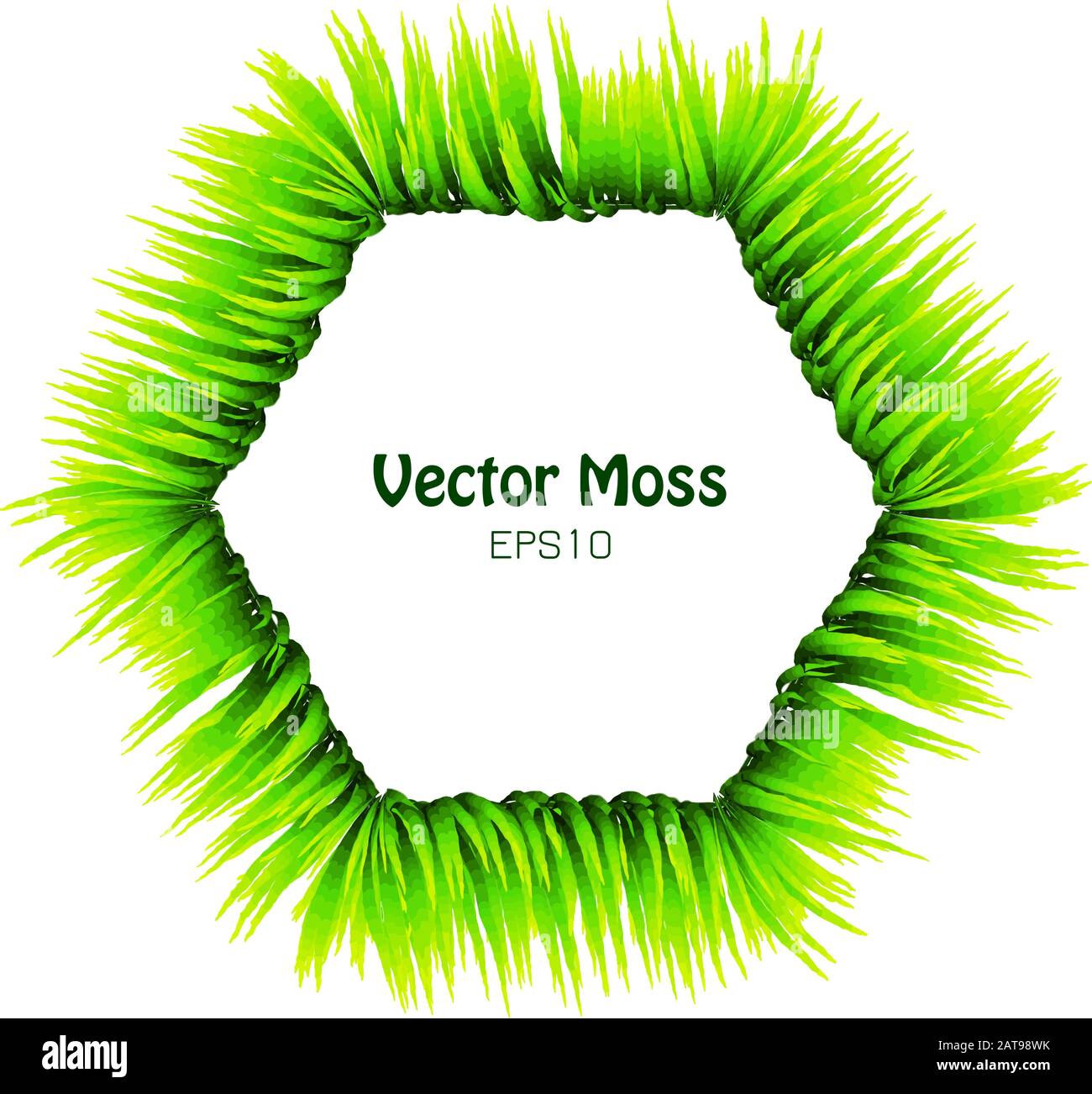 Vector Bamboo Leaf or Moss Banner - Hexex Isolated Foliage Frame - Leaflage Green Concept Illustrazione Vettoriale